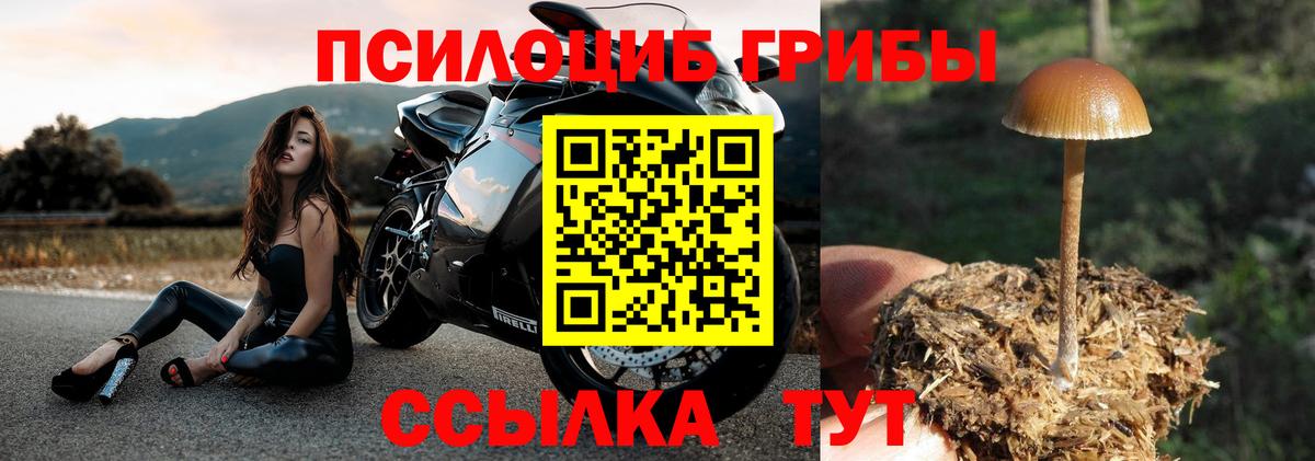Псилоцибиновые грибы Psilocybe  Вход с VPN  Галлюциногенные грибы Psilocybine cubensis  Ржев 